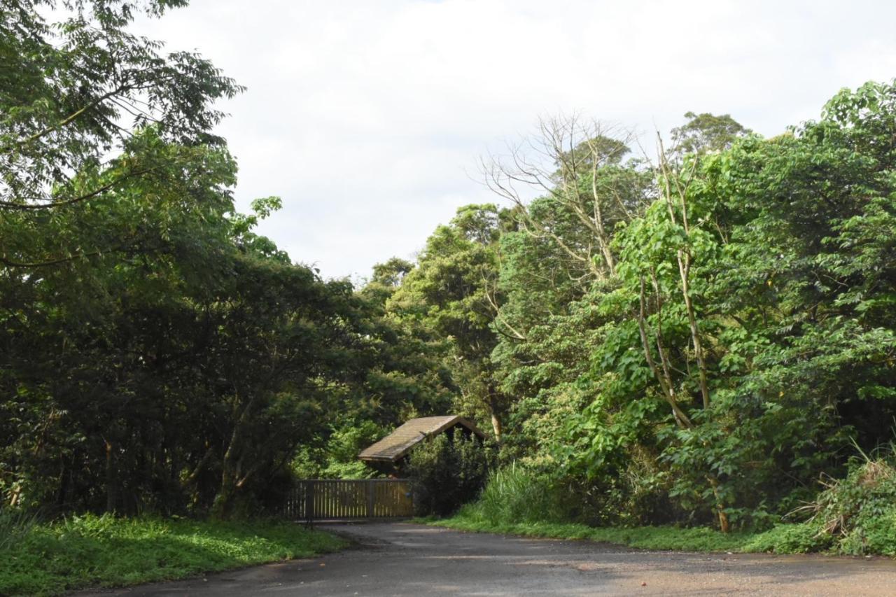 巨缿民宿巨象民宿 Sanyi Exterior photo